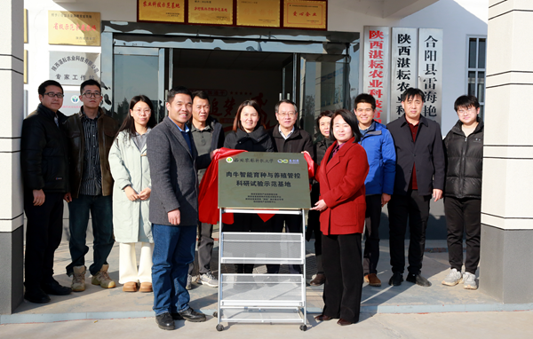 杨凌科技引领“未来牧场”加“数”发展 肉牛“智能穿戴”落地合阳(图2)