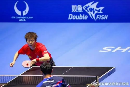 体育大赛齐聚解析深圳2025体育大年的城市密码(图7)